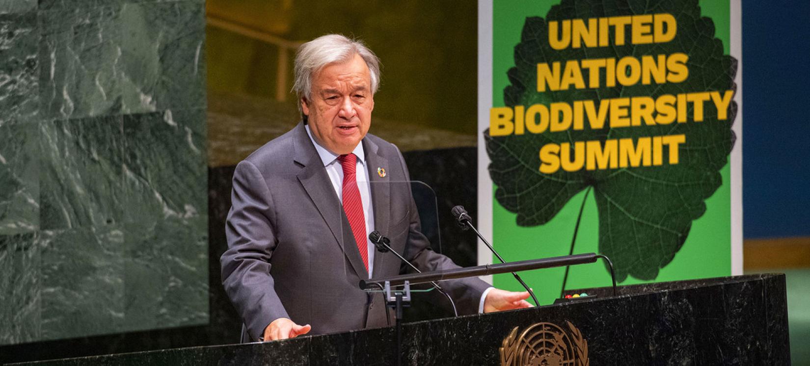 Statement by the UN Secretary-General at the Biodiversity Summit.
