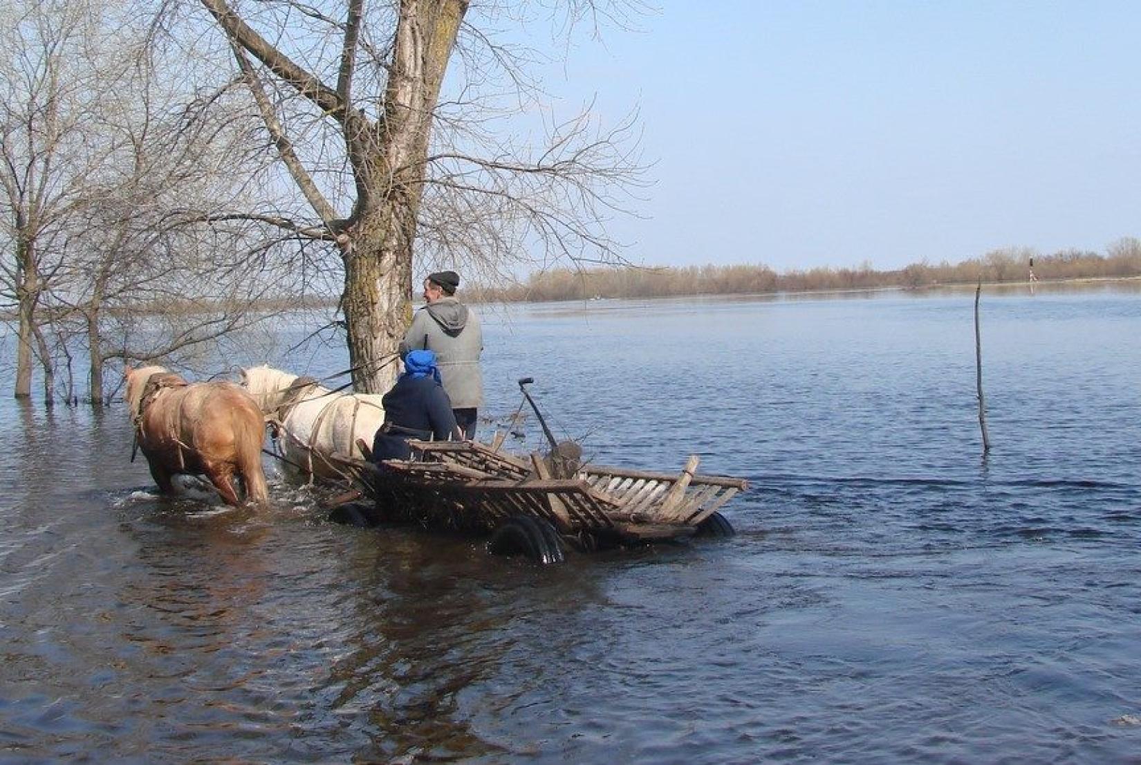 Весенний паводок в регионе Беларуского Полесья