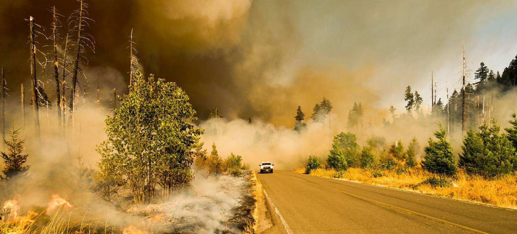 Лесной пожар в штате Орегон, США. 