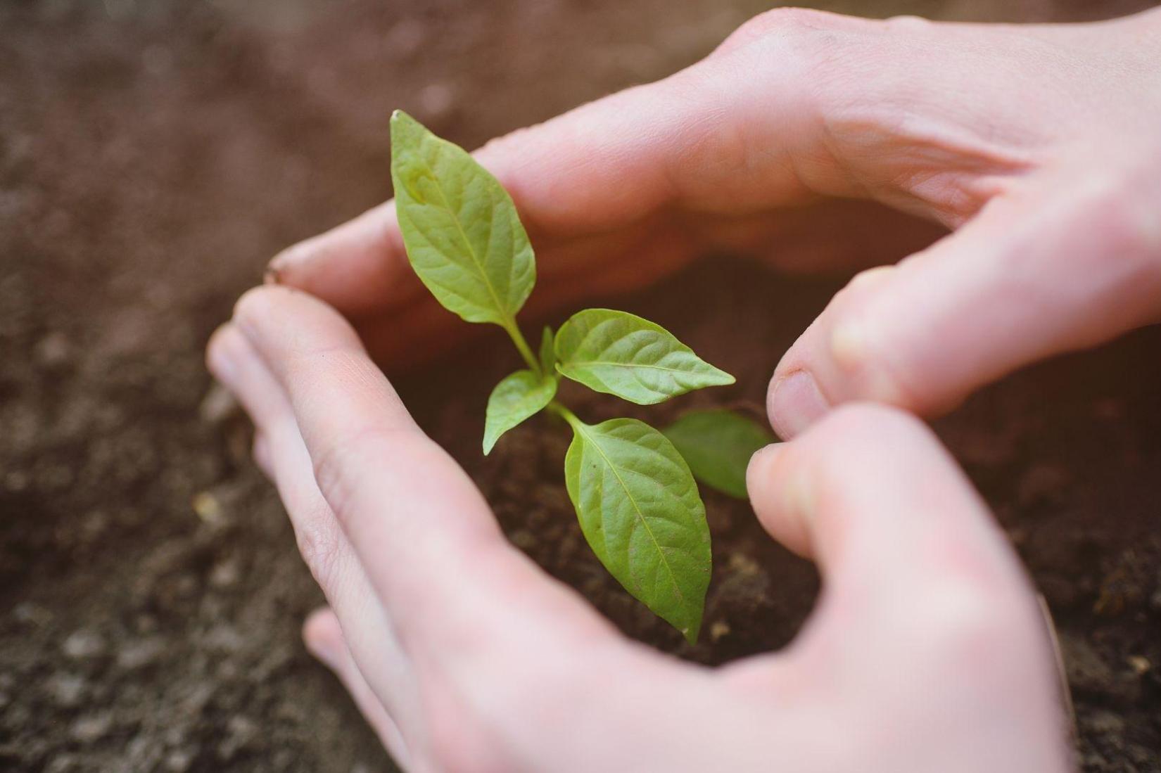 The Joint Programme of UN agencies in Belarus is focusing on promotion of new tools for sustainable development budgeting